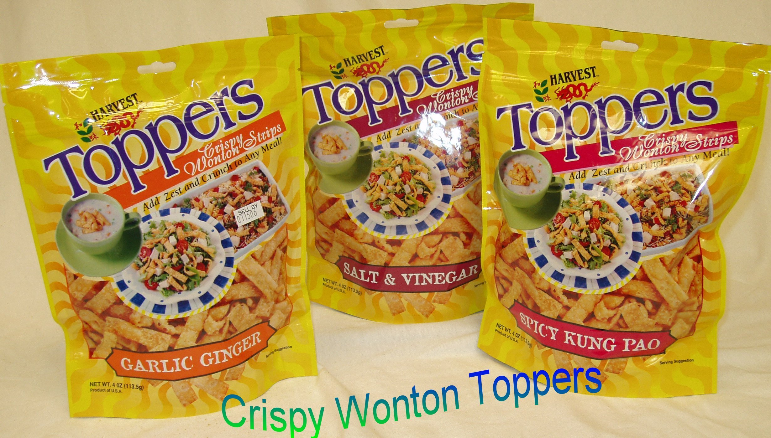 crispy wonton toppers