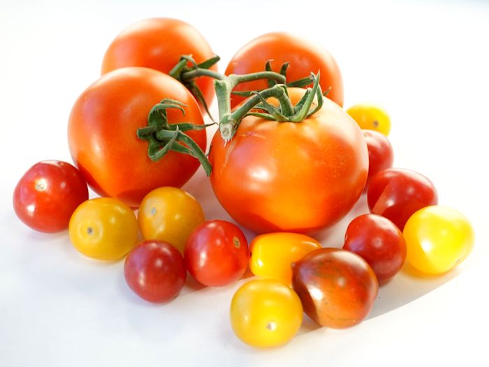 tomato